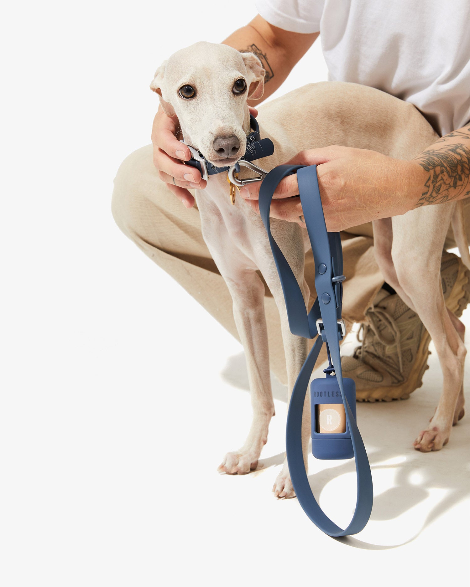 Manos ajustando el collar EasyFlex™ azul en el cuello de un galgo