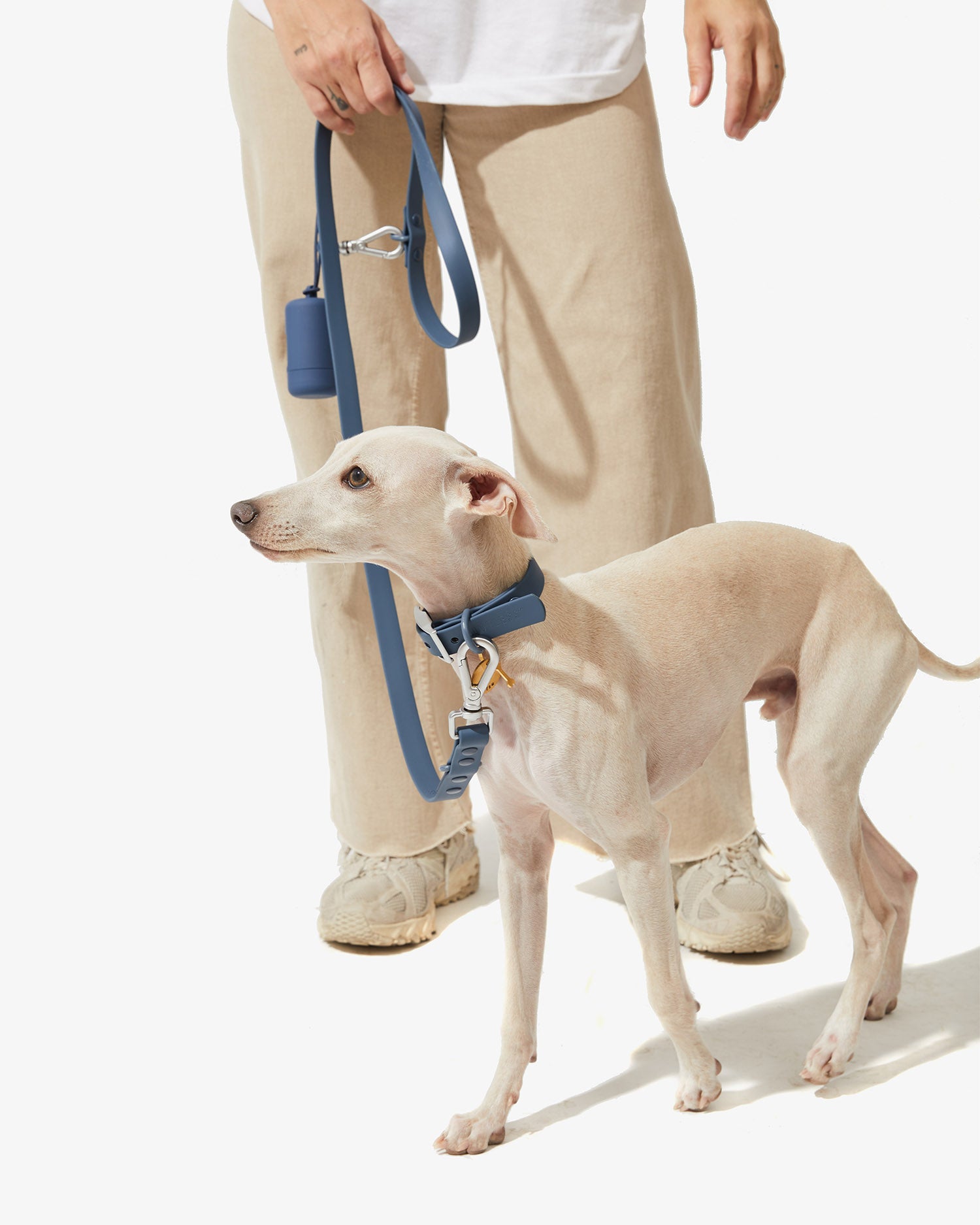 Galgo paseando con collar y correa EasyFlex™ azules junto a las piernas de su dueño