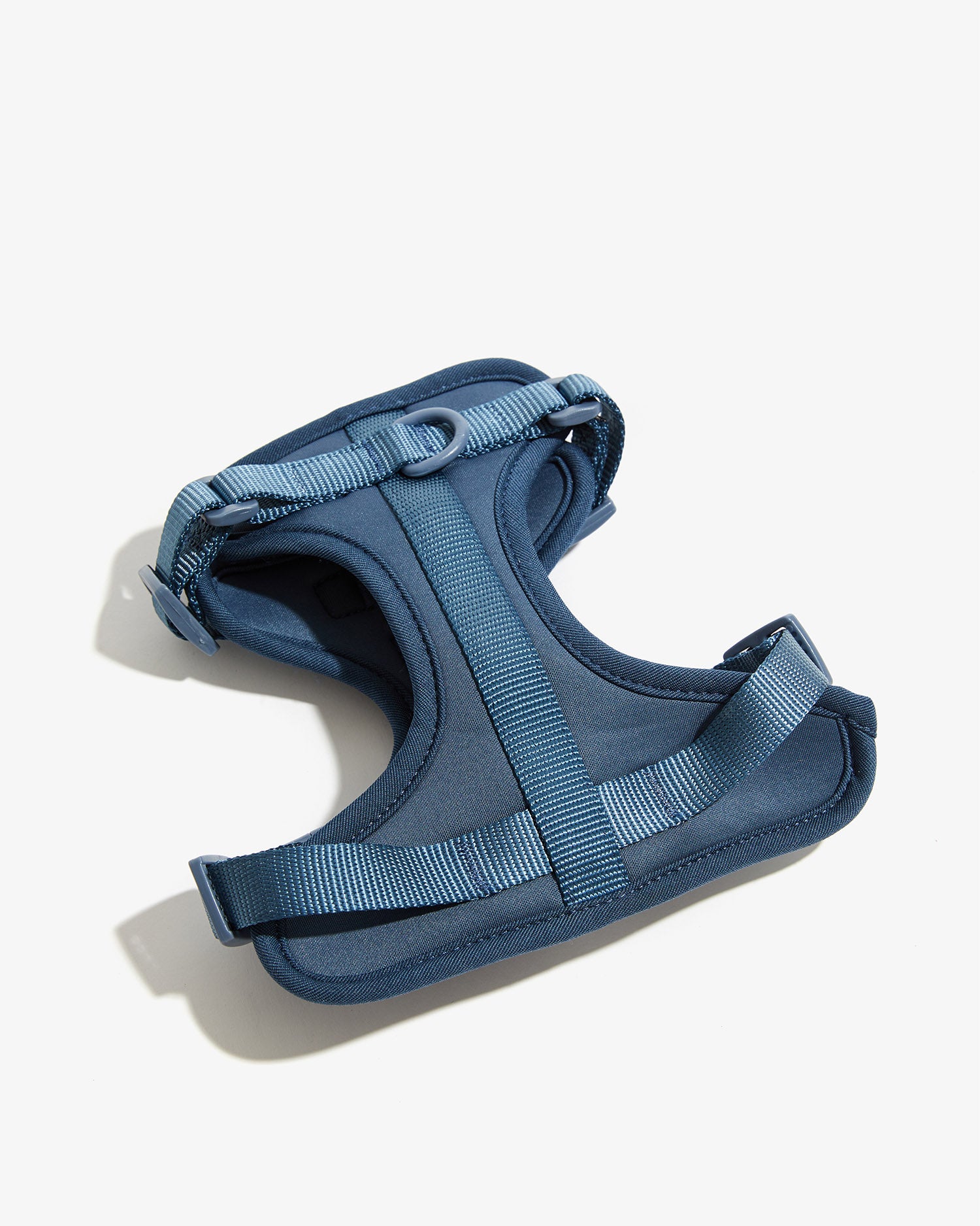 Arnés EasyFlex™ azul visto de frente mostrando la pieza pectoral