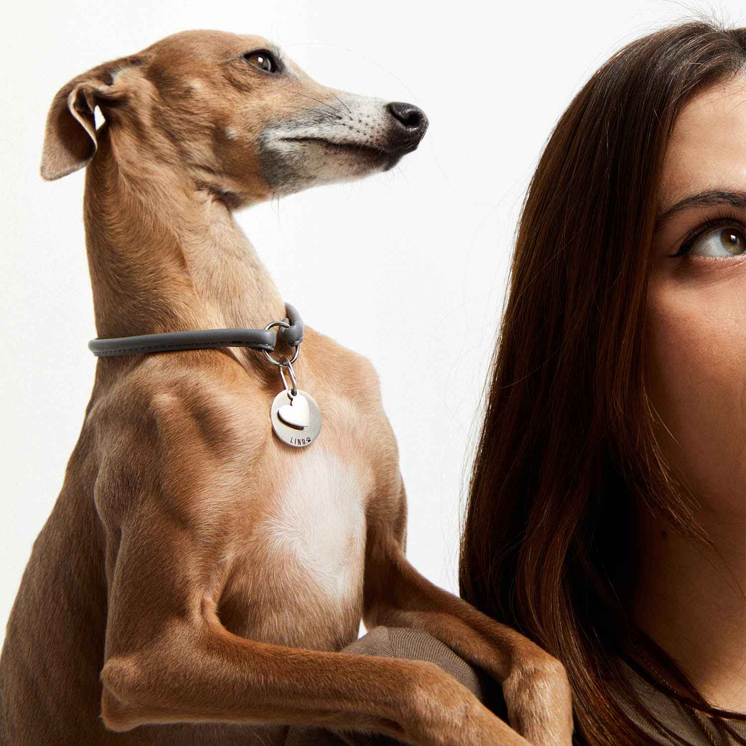 Galgo en brazos con la placa PetID® colgando del collar