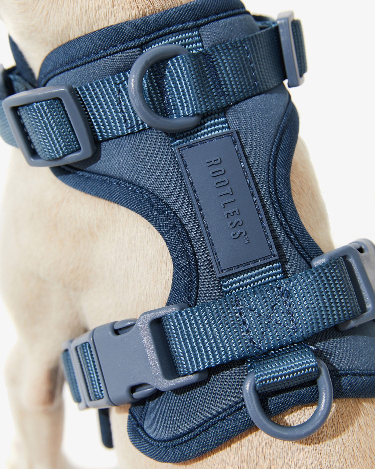Detalle del arnés EasyFlex™ azul con hebilla, cincha ajustable y logo ROOTLESS