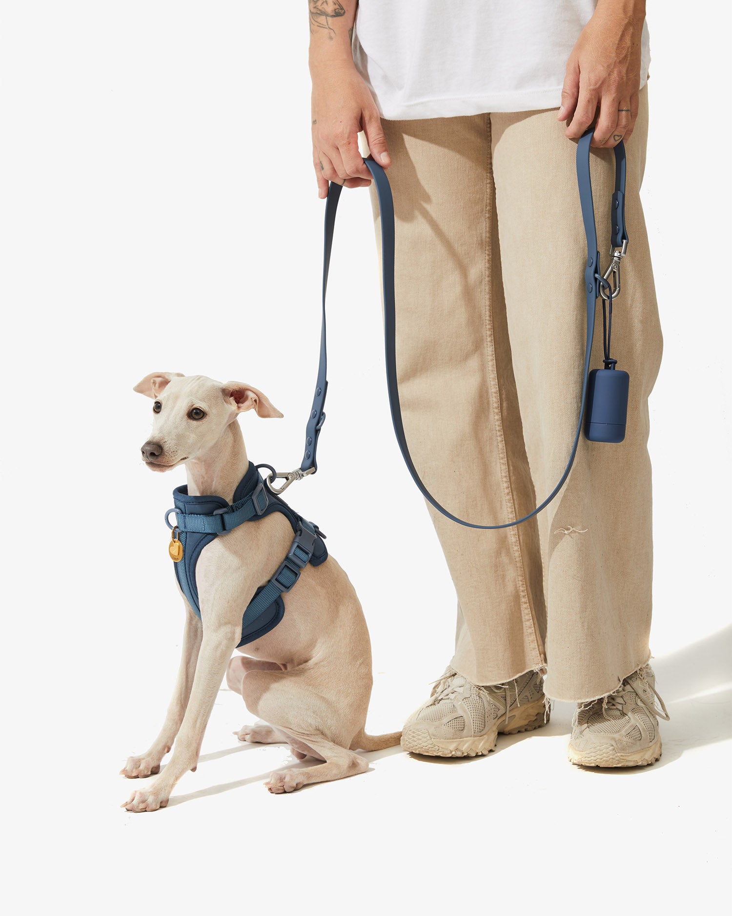 Galgo sentado con arnés y correa EasyFlex™ azules junto a su dueño