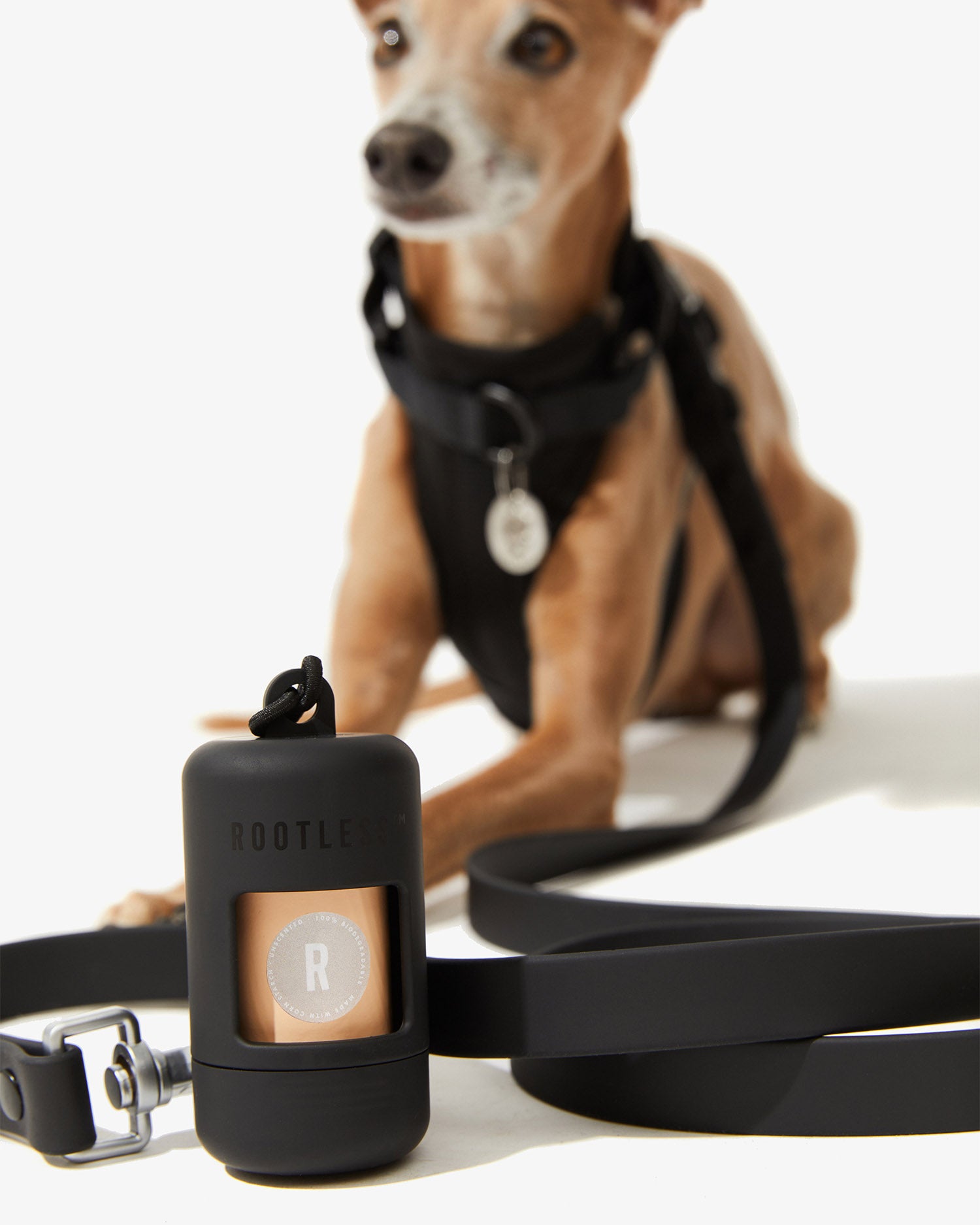 Portabolsas negro con logo ROOTLESS junto a la correa EasyFlex™ y un galgo con arnés