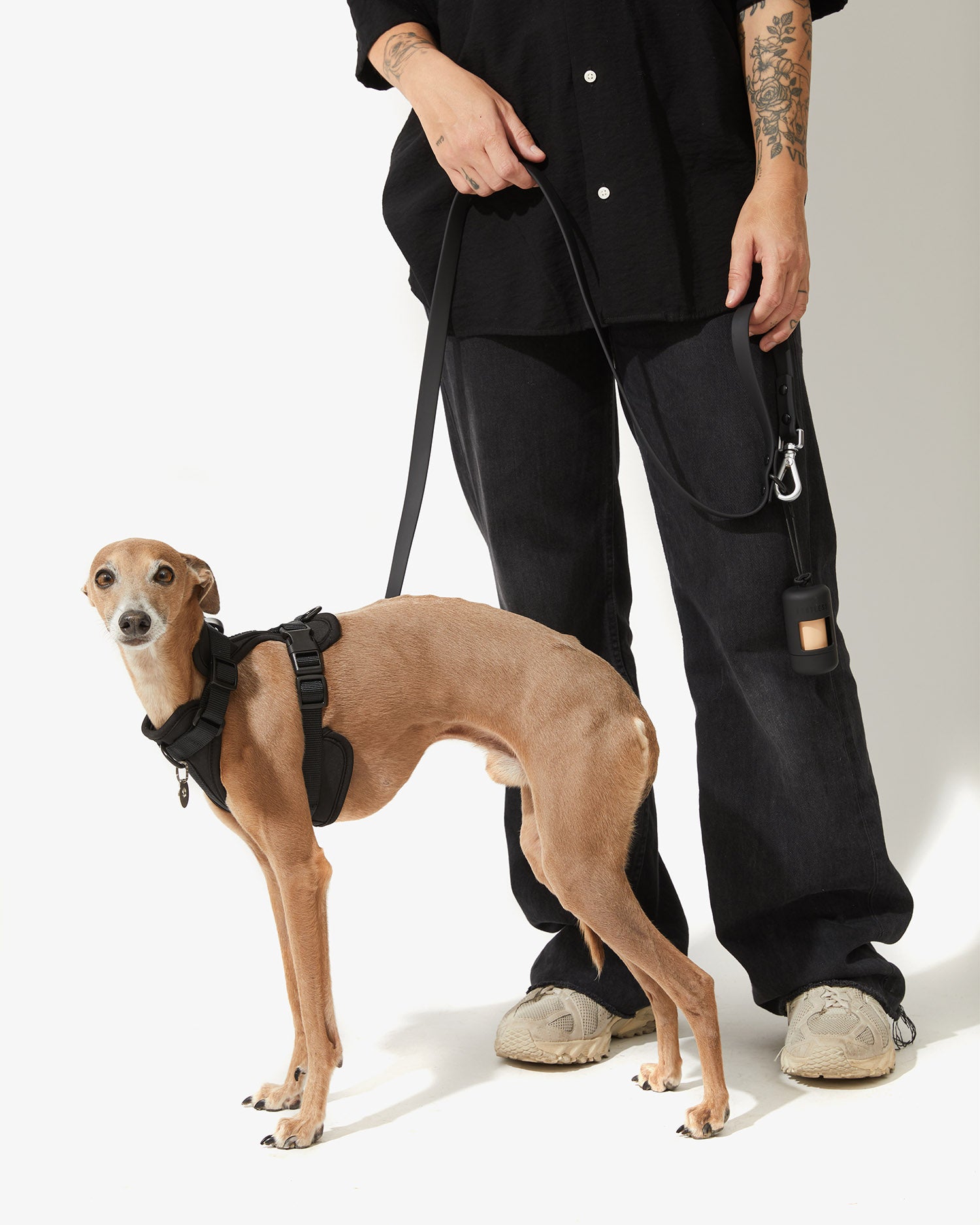 Galgo con arnés negro sujeto con la correa EasyFlex™ junto a su dueño