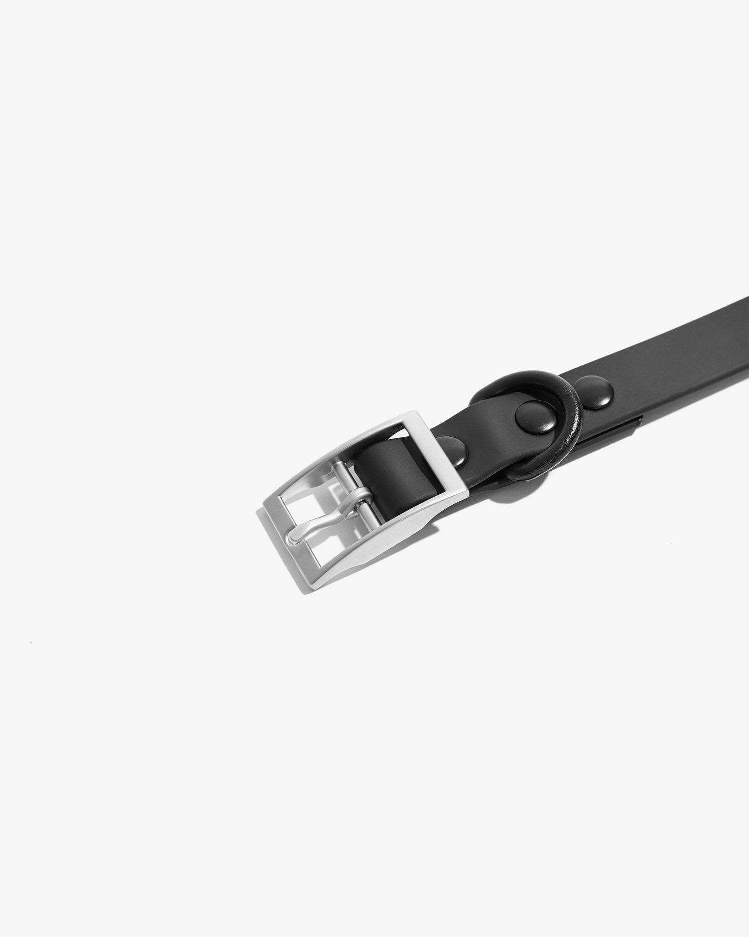 Detalle de la hebilla metálica del collar EasyFlex™ negro