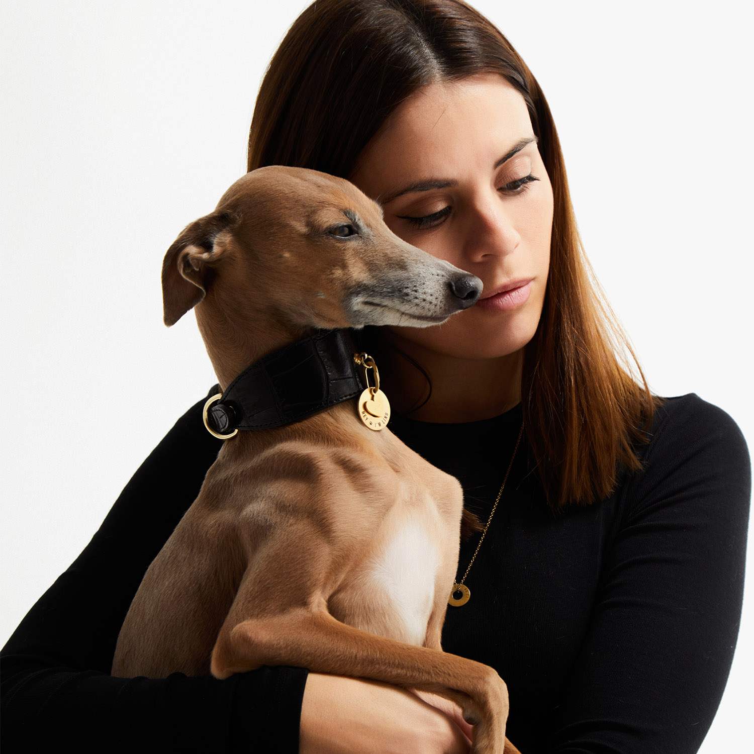 Galgo en brazos con la placa PetID® dorada colgando del collar