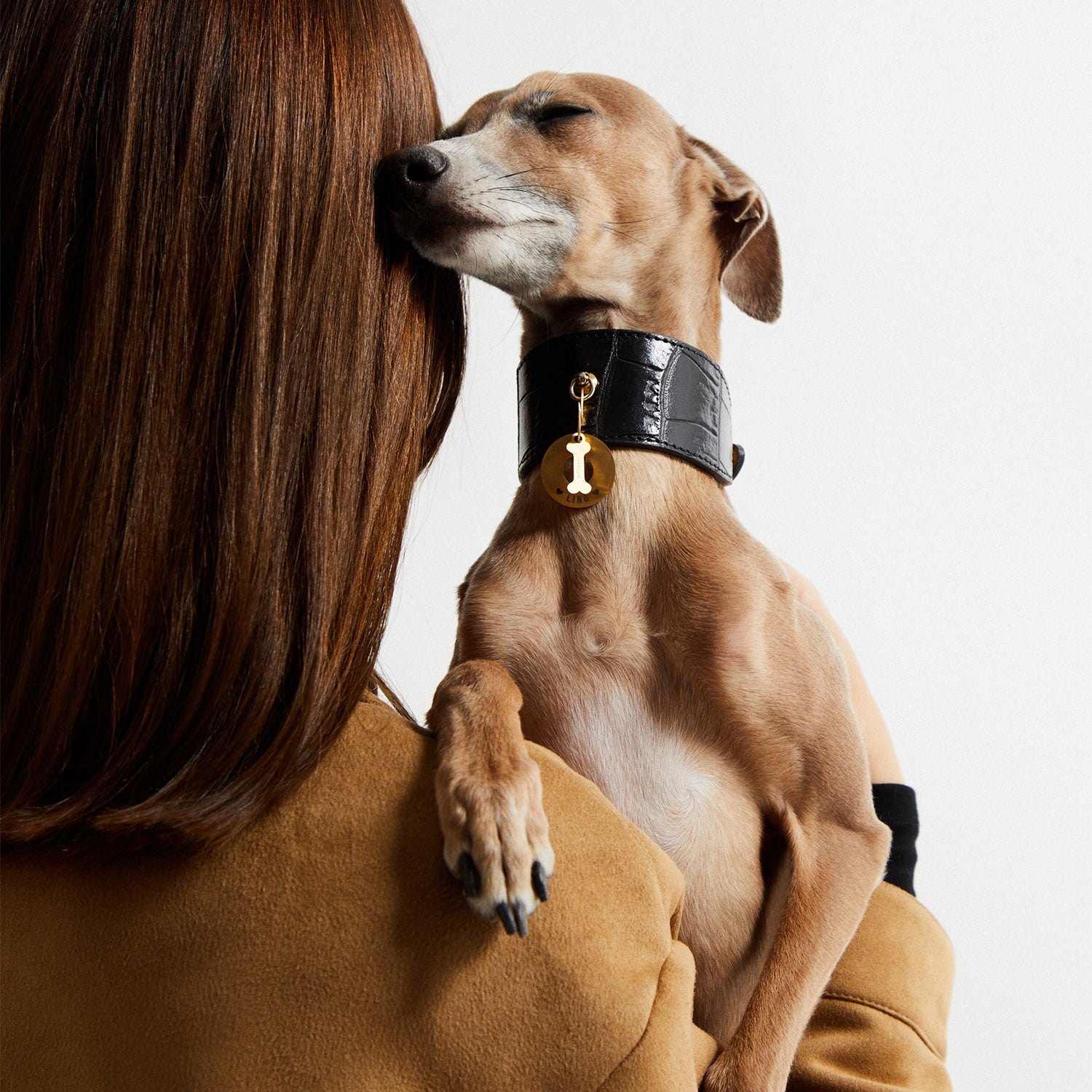 Galgo apoyado sobre el hombro de una persona con la placa PetID® dorada al cuello
